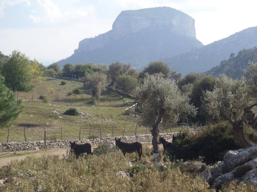 Hostal Ca'N Tiu Alaró Buitenkant foto