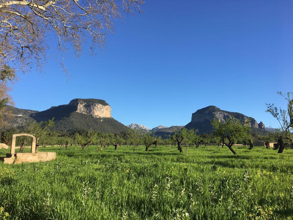 Hostal Ca'N Tiu Alaró Buitenkant foto